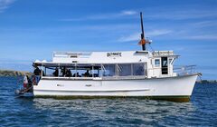 Group fishing from MV Koru on the Hauraki Gulf