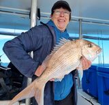 Snapper caught on a Hauraki Gulf charter