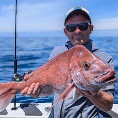 Snapper caught on a Hauraki Gulf charter
